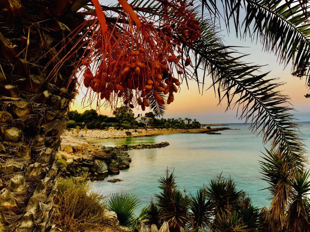 Zoe'S Villa By Turtle Bay Protaras Eksteriør billede